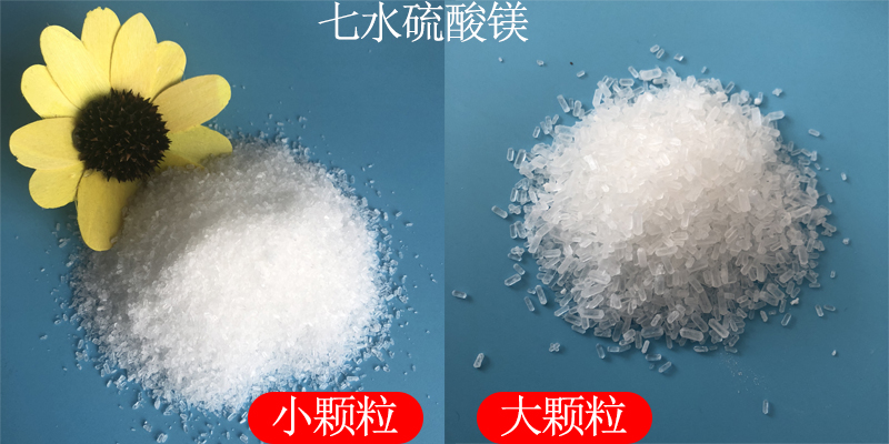 1723186959188007.jpg 未標題(ti)-1.jpg